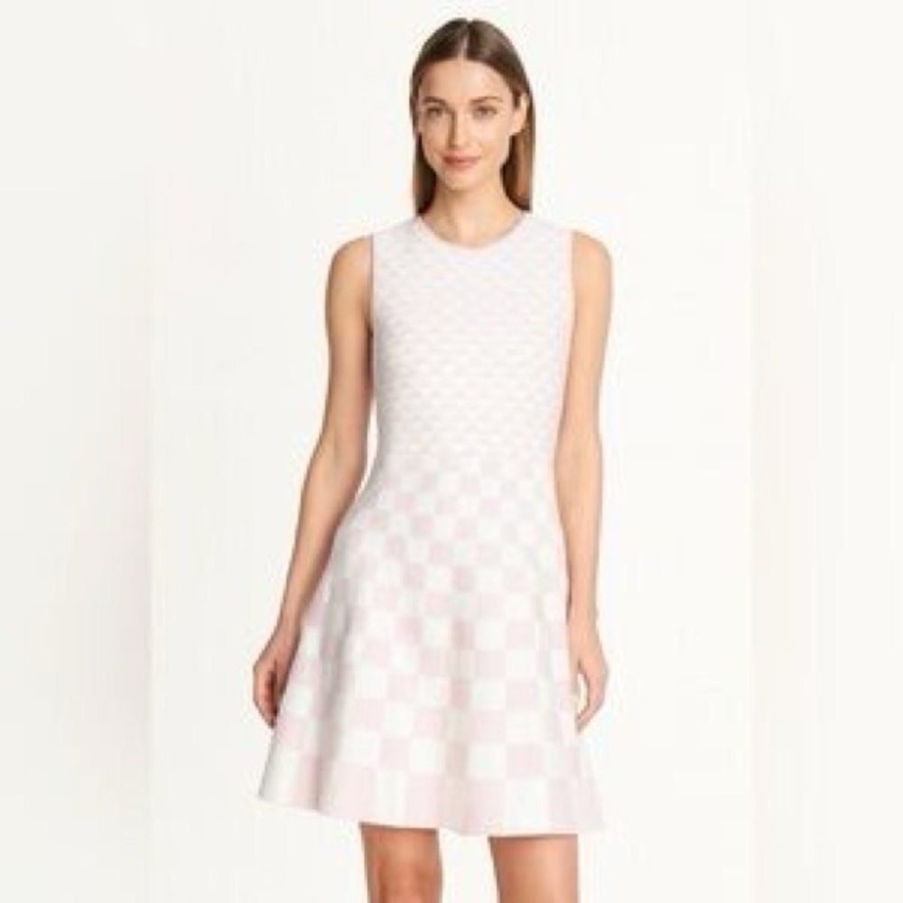 Saks Fifth Avenue Ballet Pink & White Jacquard Dress 🎀
Size: XS (Extra Small)